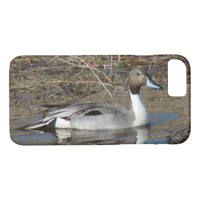 Ente Drake der Spießenten-B5 Case-Mate iPhone Hülle (Rückseite (Horizontal))