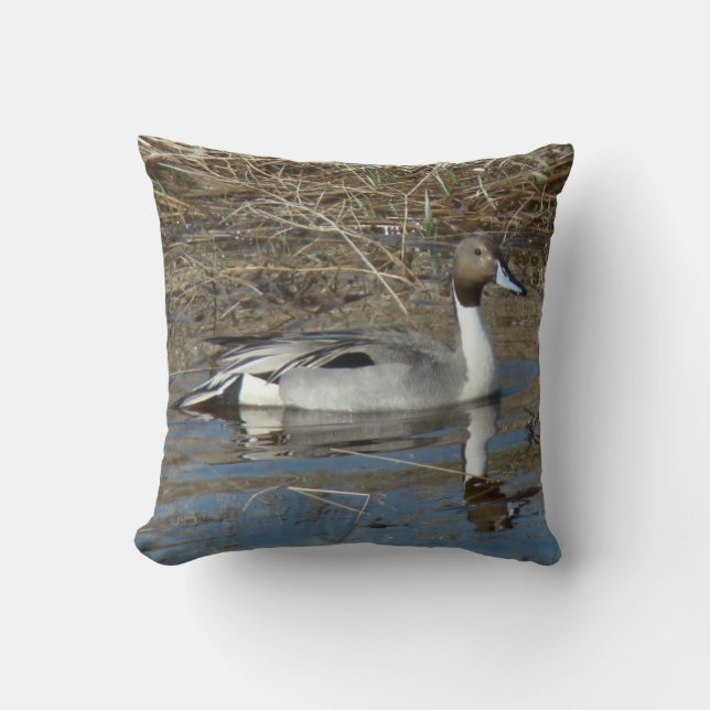 Ente Drake der Spießenten-B5 Kissen (Vorderseite)