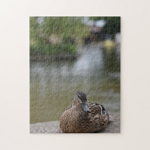 Ente durch die Wasservogelfotografie