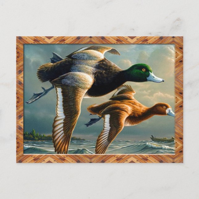 Ente Flying Postcard Postkarte (Vorderseite)