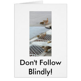 Ente, folgen nicht blind!