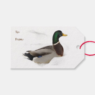 Ente im Schnee-Satz Geschenk-Umbauten Geschenkanhänger