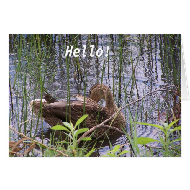 Ente im Wasser (Vorderseite (Horizontal))