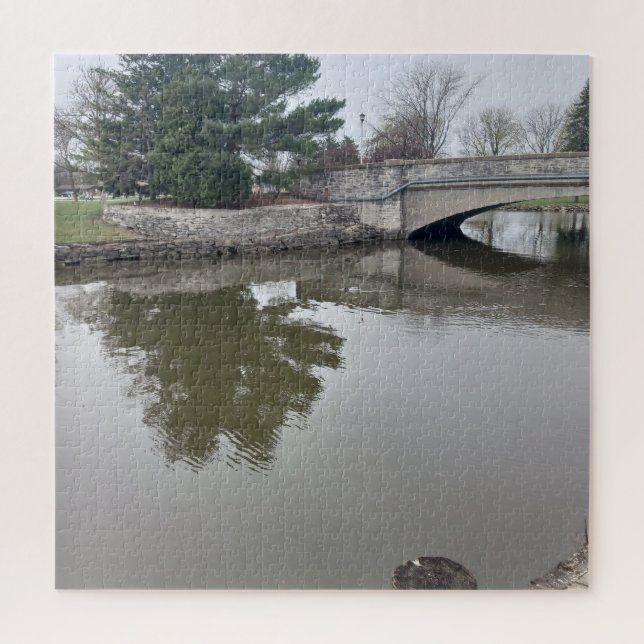 Ente im Wasserspuzzle (Vertikal)