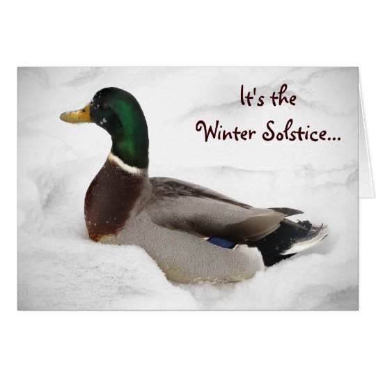 Ente in der Schnee-Winter-Sonnenwende Karte