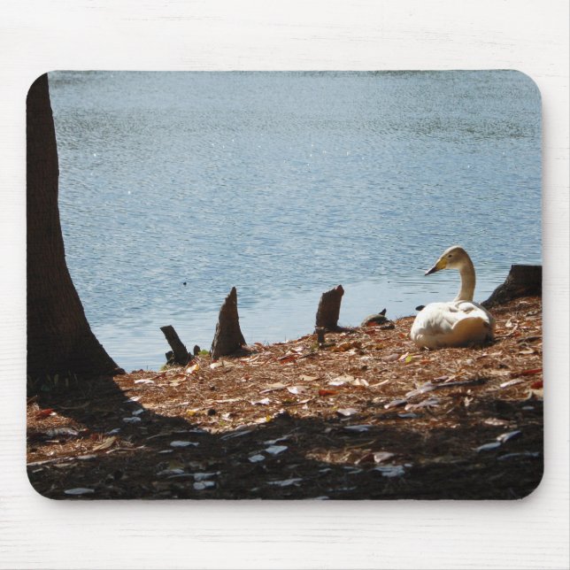 Ente in der Sonne Mousepad (Vorne)