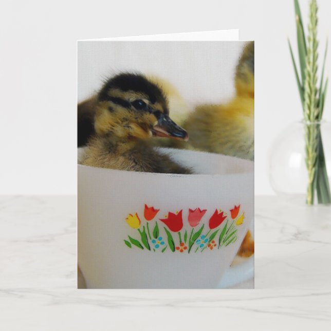 Ente in einem Teacup 2 Karte (Vorderseite)