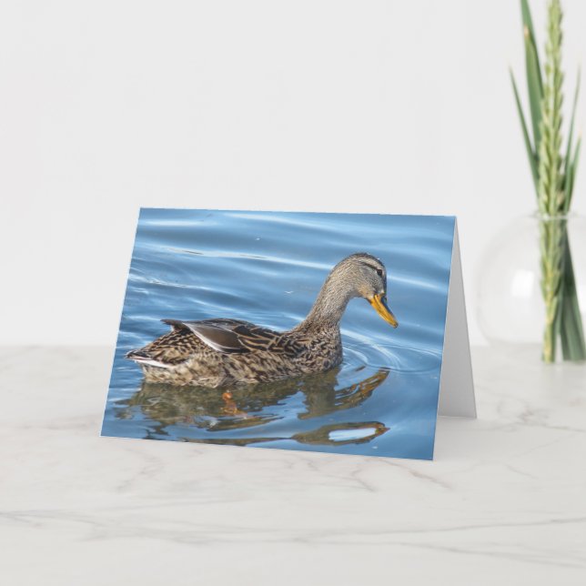 Ente in Wasser Karte (Vorderseite)