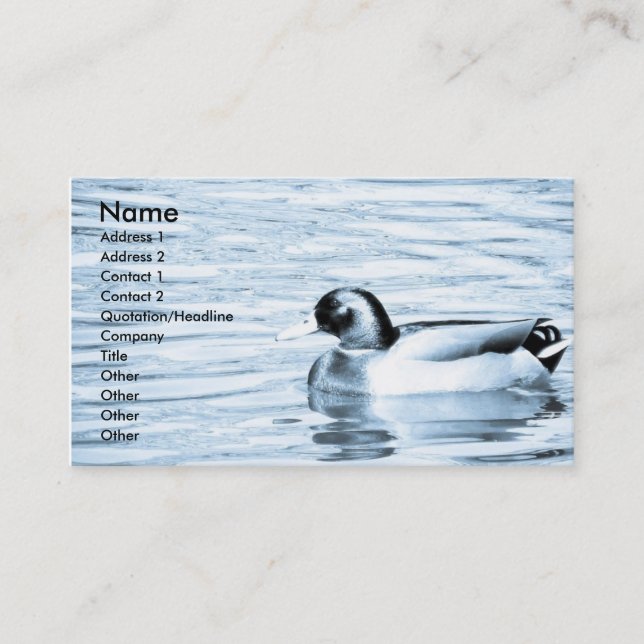 Ente in Wasser Visitenkarte (Vorderseite)
