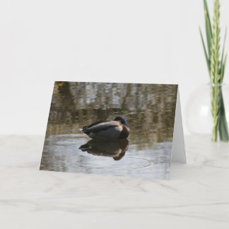 Ente Karte