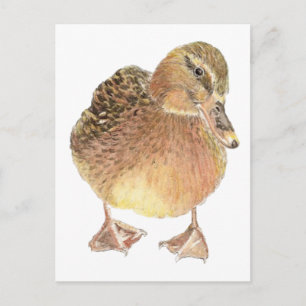 Ente, Landtiere, Haustiere Postkarte