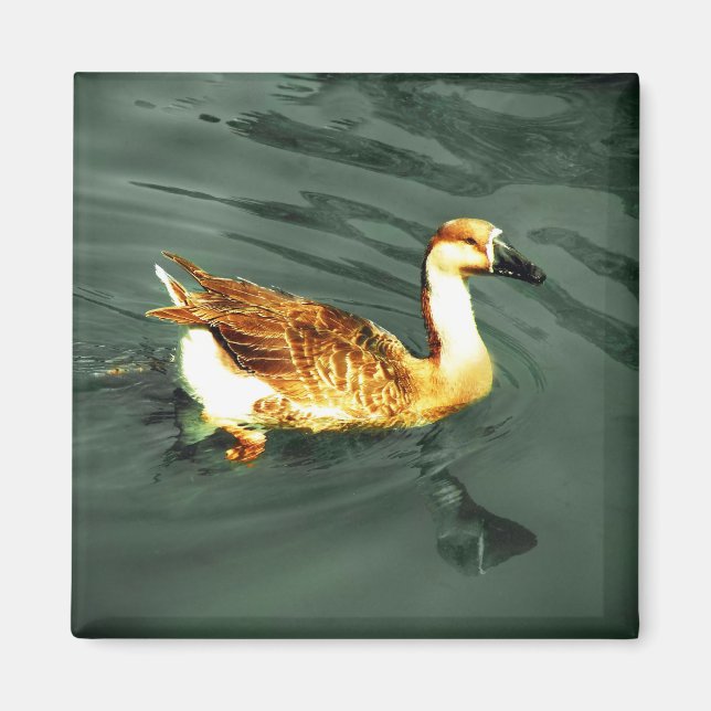 Ente Magnet (Vorne)