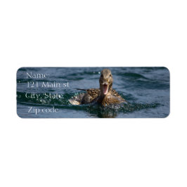 Ente mit Schnabel offen