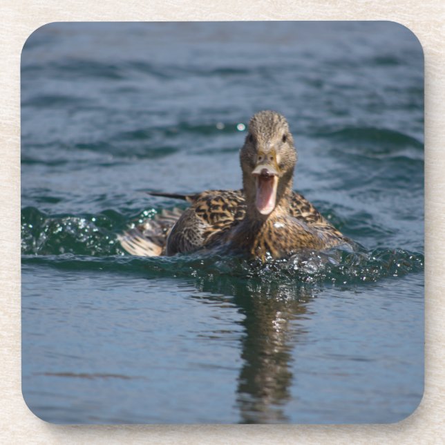 Ente mit Schnabel offen Getränkeuntersetzer (Vorderseite)