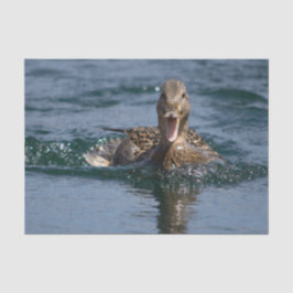 Ente mit Schnabel offen Seidenpapier