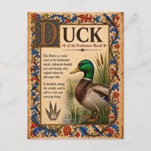Ente, mittelalterliche Bestiarien-Kunst Postkarte