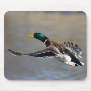 Ente Mousepad