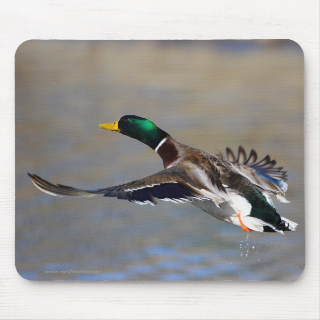 Ente Mousepad (Vorne)