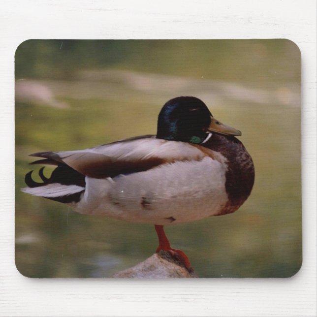 Ente Mousepad (Vorne)