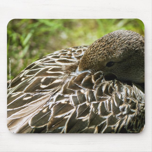 Ente Mousepad (Vorne)