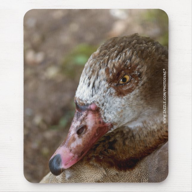 Ente Mousepad (Vorne)
