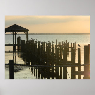 Ente North Carolina Angeldocks Poster