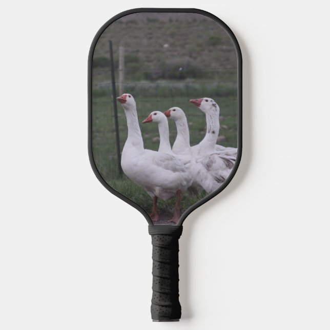 Ente Pickleball Schläger (Vorderseite)