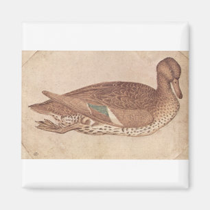 Ente - Pisanello Magnet