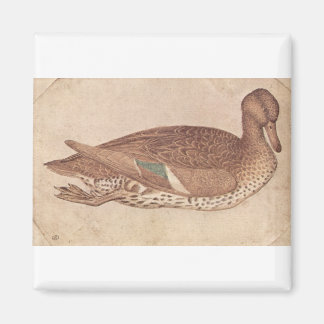 Ente - Pisanello Magnet