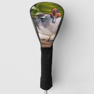 Ente stößt auf golf headcover