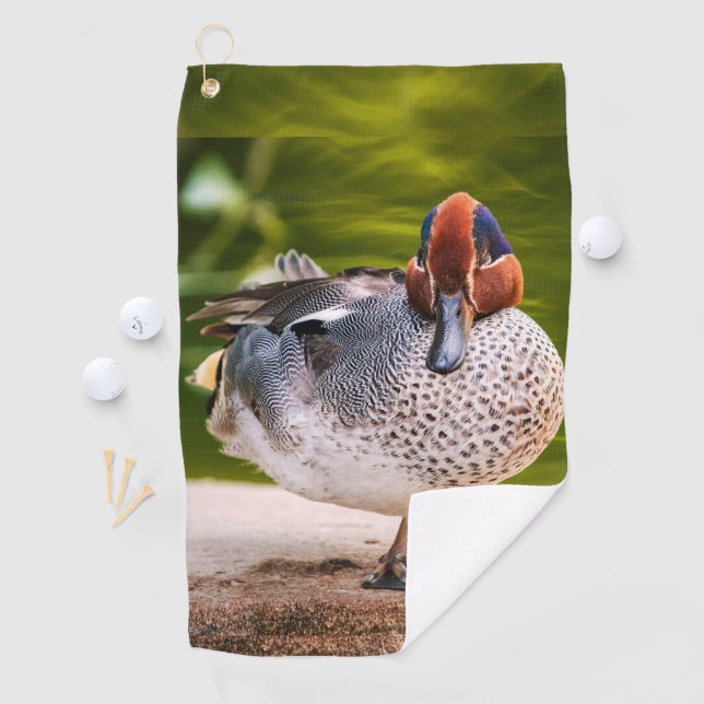Ente stößt auf golfhandtuch (Insitu)