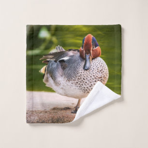 Ente stößt auf waschlappen