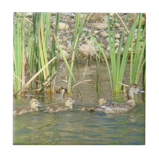 Ente und Entlein der Mutter-B34 Fliese (Vorderseite)
