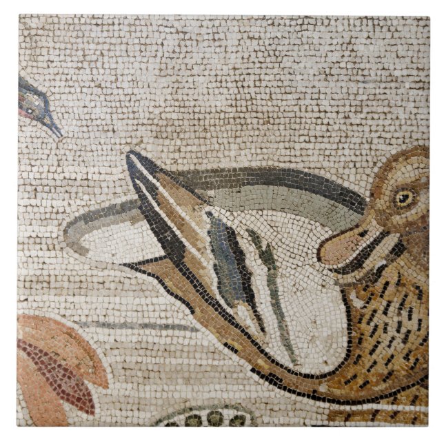 Ente und Vogel, Nil-Mosaik, Haus des Faun Fliese (Vorderseite)