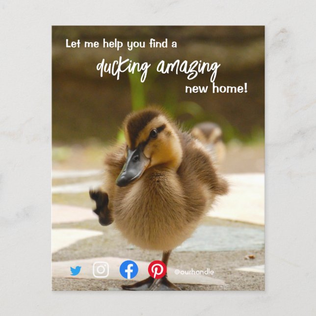 Ente wunderschönes phantastisches Anwesen Agent Ma Flyer (Vorne)