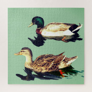 Enten