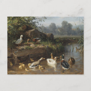 Enten am Bach von Carl Jutz Postkarte