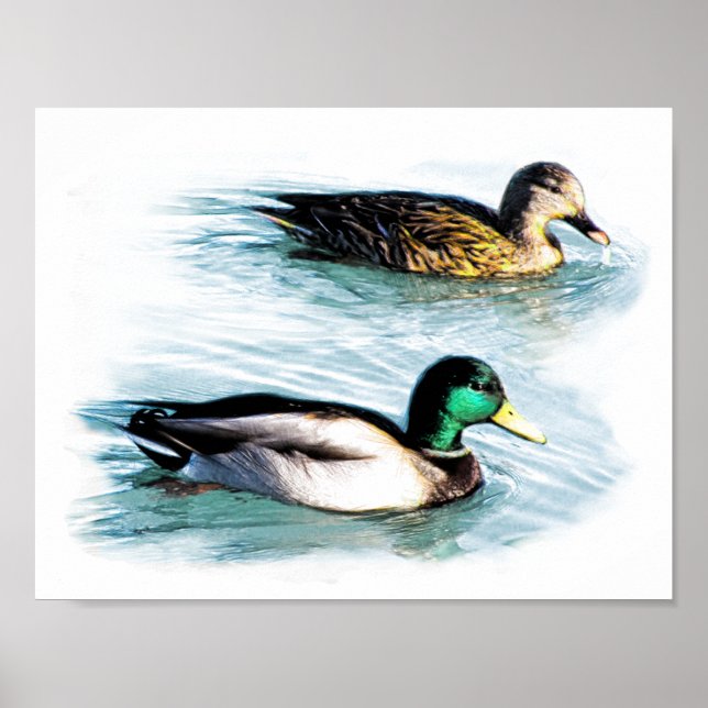 Enten am See Poster (Vorne)