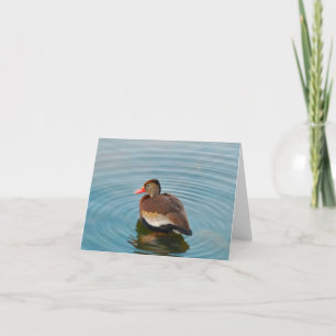 Enten-Anmerkungs-Karte (freier Raum) Karte