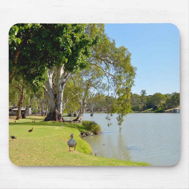Enten auf dem Fluss Murray Australia, Mousepad (Vorne)