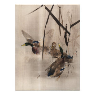 Enten auf dem Wasser japanische Art Wasservögel M Fotodruck