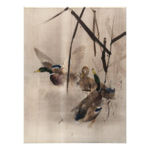 Enten auf dem Wasser japanische Art Wasservögel Ma