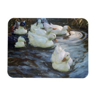 Enten auf einem Teich Magnet