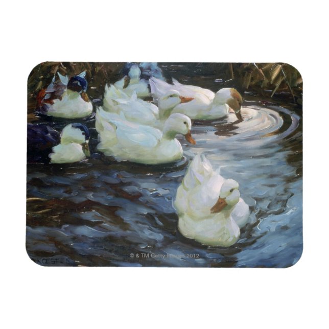 Enten auf einem Teich Magnet (Horizontal)