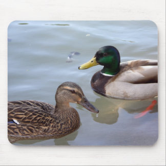 Enten auf einem Teich Mousepad