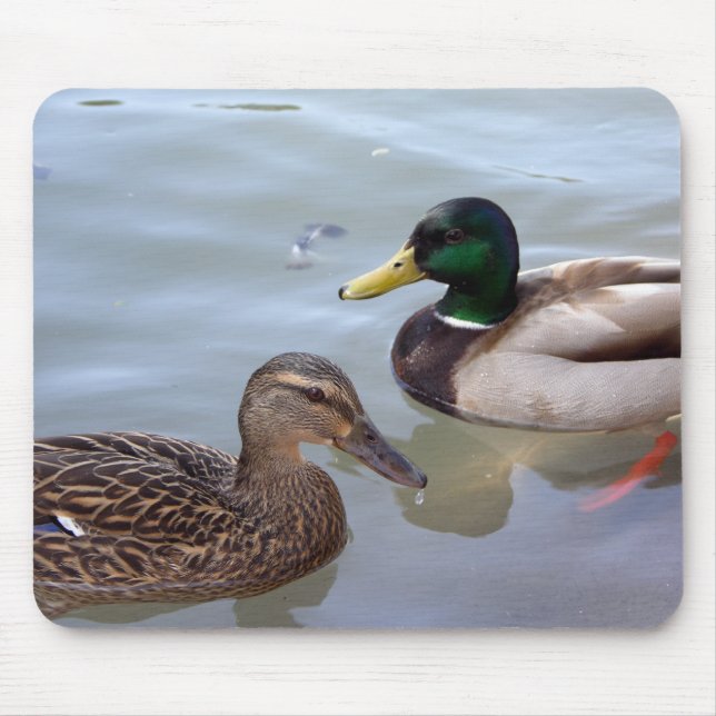 Enten auf einem Teich Mousepad (Vorne)