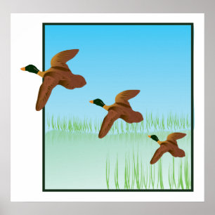 Enten auf einem Teich Poster