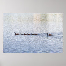 Enten auf Glen Lake Poster