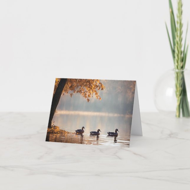 Enten auf Herbstsee (Vorderseite)