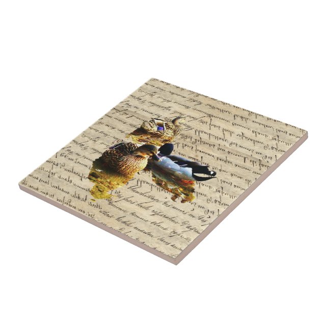 Enten auf Vintagem Papier Fliese (Seite)